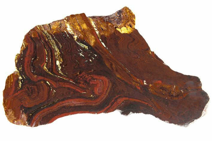 Polished Tiger Iron Stromatolite Slab - Billion Years #185922